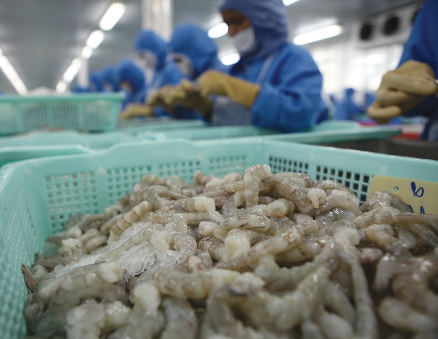 Thủy sản là một trong những mặt hàng Việt Nam khó có thể cạnh tranh tại thị trường Mỹ trong thời gian tới 