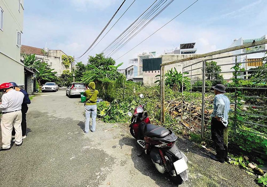 Khách và sales bất động sản đang xem một lô đất nền.