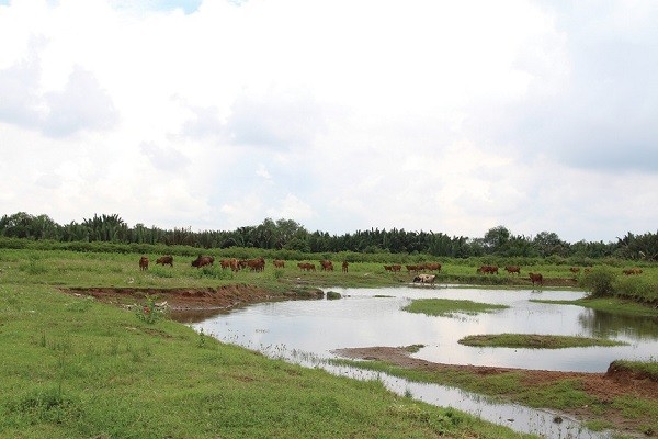 Một góc dự án Khu dân cư Bắc Phước Kiển tại huyện Nhà Bè, TP.HCM.