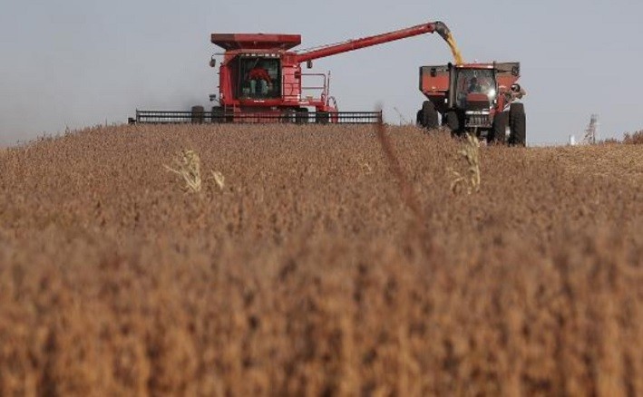 Nông sản Mỹ rộng đường vào Việt Nam 