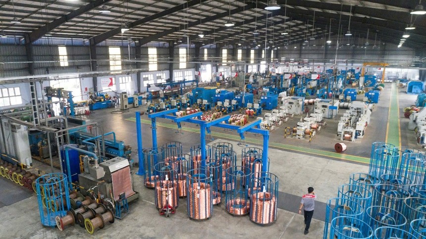 CADIVI tập trung thị trường nội địa với sản phẩm chất lượng cao.