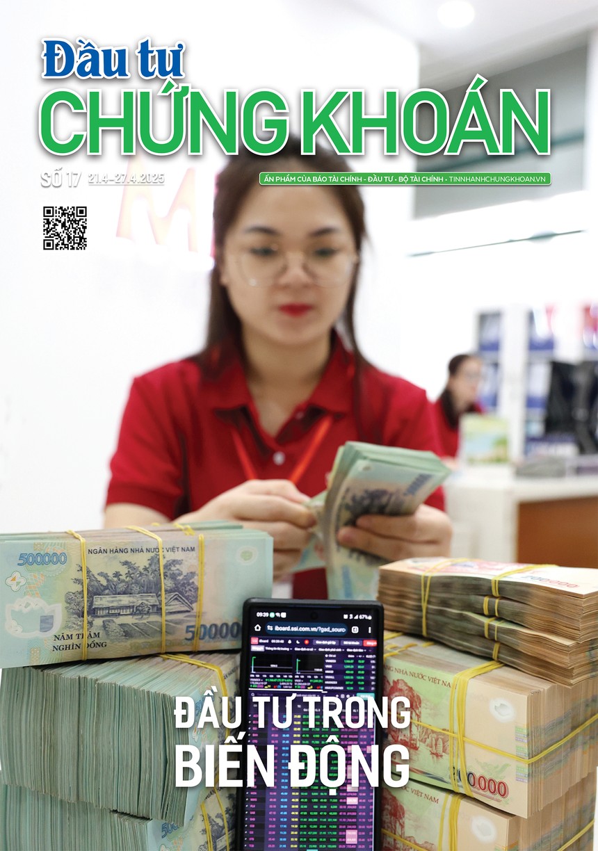 Báo Đầu tư Chứng khoán số 17