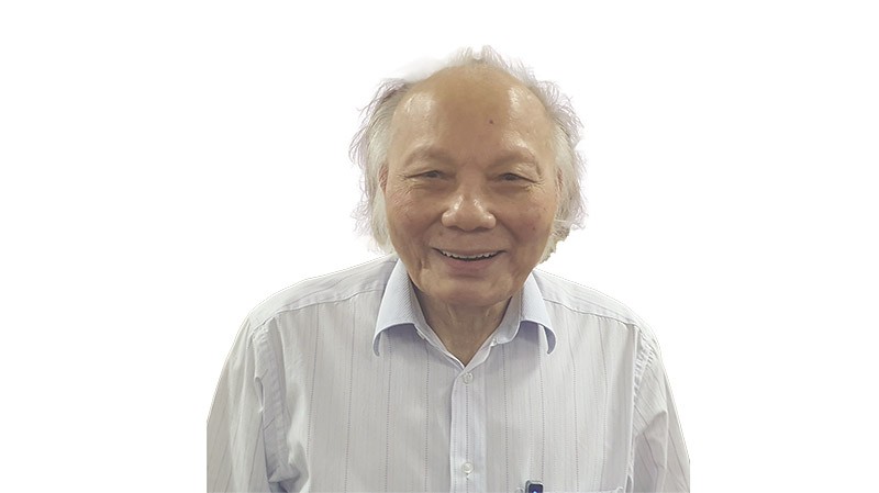 GS-TSKH. Nguyễn Mại, Chủ tịch Hiệp hội Doanh nghiệp đầu tư nước ngoài (VAFIE) 