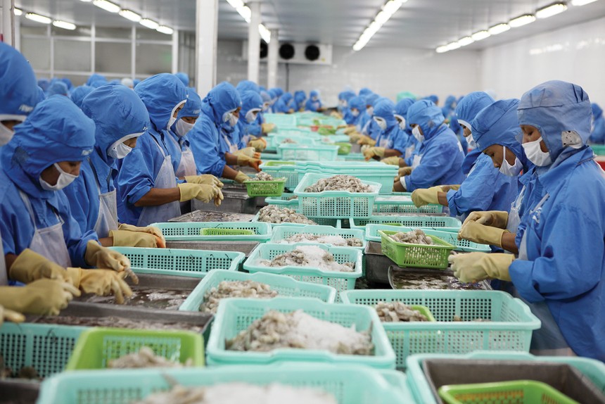 Doanh nghiệp thủy sản đang nỗ lực dịch chuyển thị trường xuất khẩu để giảm thiểu rủi ro từ thị trường Mỹ