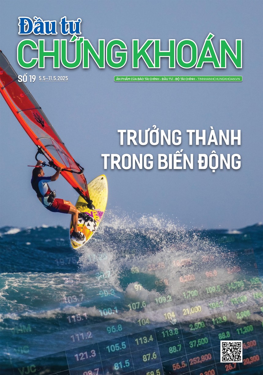 Báo Đầu tư Chứng khoán số 19