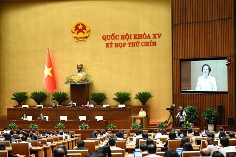 Quốc hội nghe tờ trình dự án Luật Cán bộ, công chức (sửa đổi). 