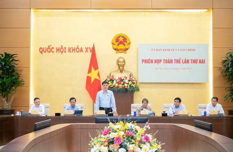 Phó chủ tịch Quốc hội Vũ Hồng Thanh phát biểu tại phiên họp - Ảnh Nghĩa Đức. 