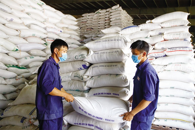 Doanh nghiệp xuất khẩu gạo đang rất lo lắng về dự thảo quy định mới với ngành hàng xuất khẩu này. Ảnh: Đức Thanh