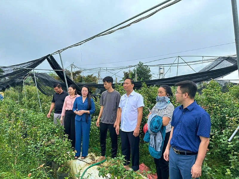 Hà Nội đạt chuẩn nông thôn mới toàn diện sau gần 15 năm triển khai Chương trình mục tiêu quốc gia 