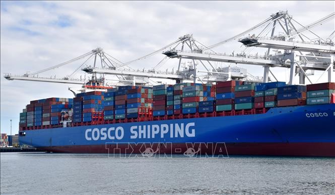 Tàu chở hàng hóa Trung Quốc neo tại cảng Long Beach ở Los Angeles, Mỹ. Ảnh: THX/TTXVN