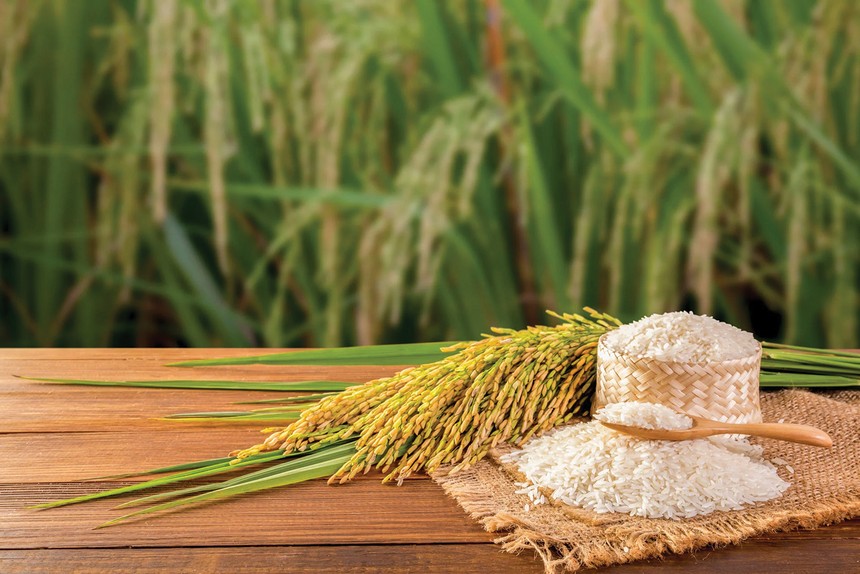 Biên lợi nhuận ngành gạo được kỳ vọng sẽ được cải thiện nhờ tập trung vào phân khúc chất lượng cao