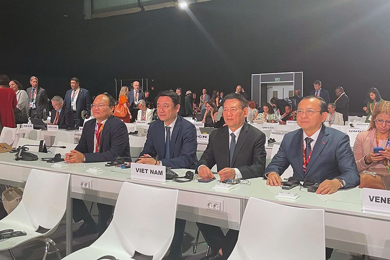 Phó thủ tướng Chính phủ Hồ Đức Phớc dẫn đầu đoàn đại biểu Việt Nam tham dự Phiên khai mạc của Hội nghị FfD4. Ảnh: BNG. 