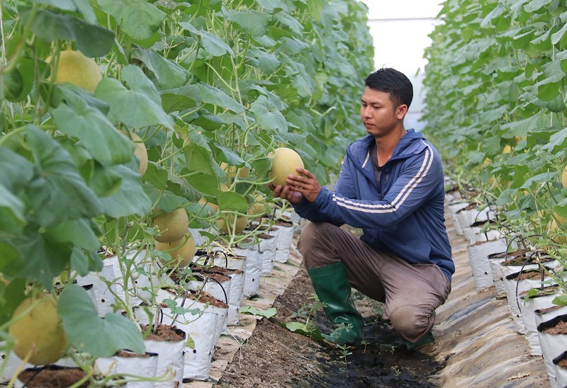 Ngành nông nghiệp vẫn duy trì đà tăng trưởng tích cực 