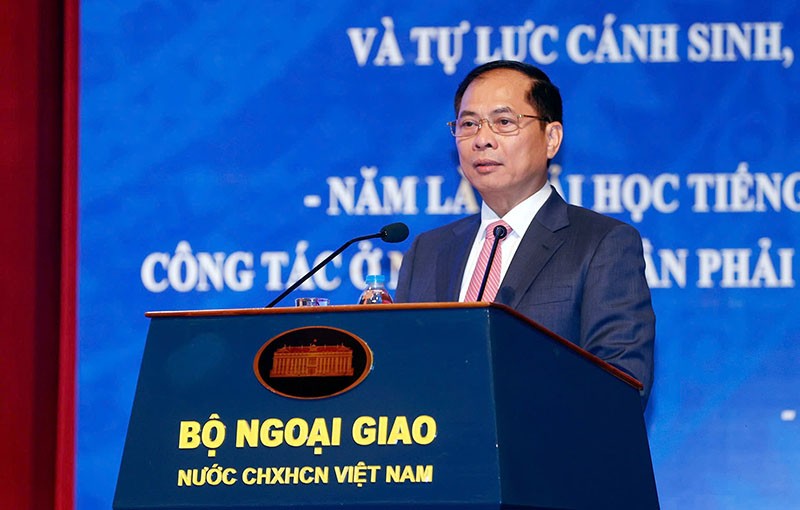 Phó thủ tướng, Bộ trưởng Bộ Ngoại giao Bùi Thanh Sơn. Ảnh: Đức Thanh