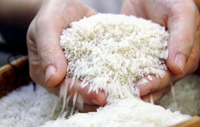 Gạo Việt ổn định trước biến động, “dân cứ có gạo là doanh nghiệp mua” 