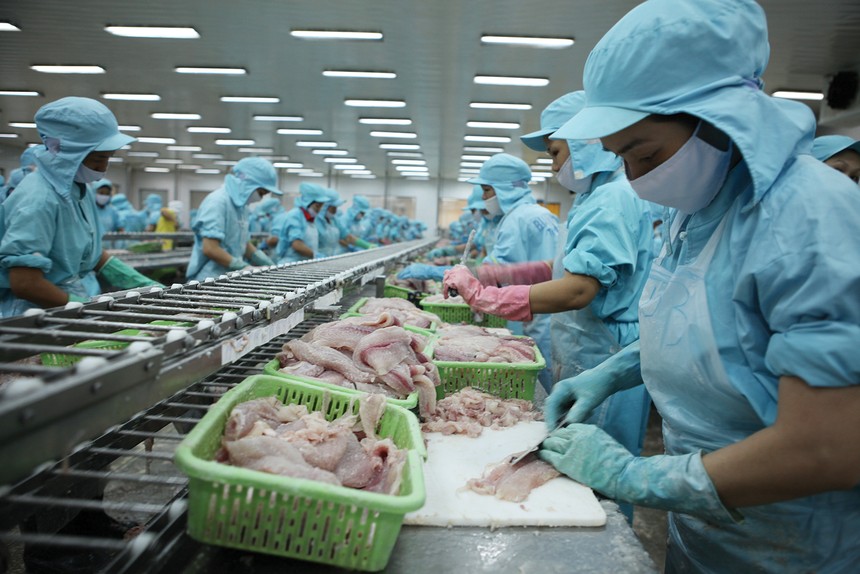 Từ ngày 7/8/2025, Mỹ áp thuế đối ứng 20% với thủy sản Việt Nam