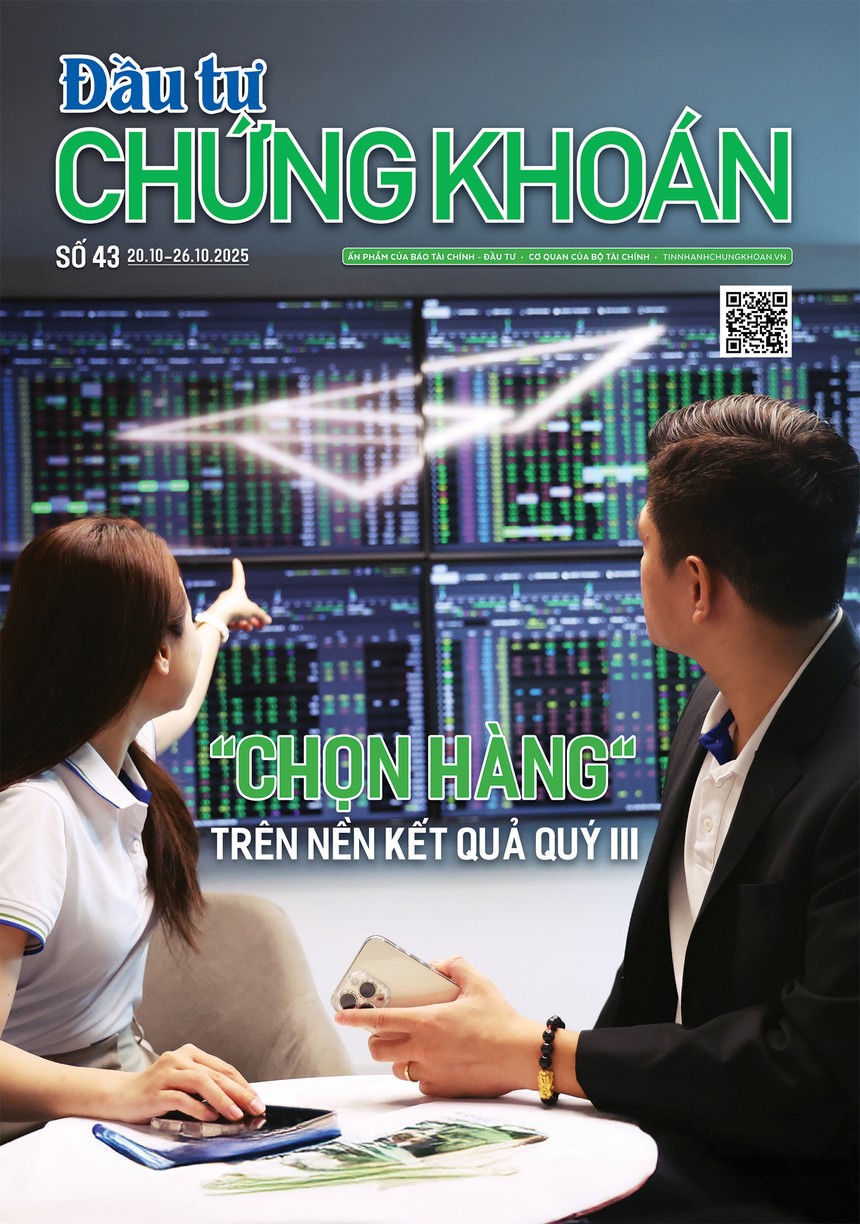 Báo Đầu tư Chứng khoán số 43