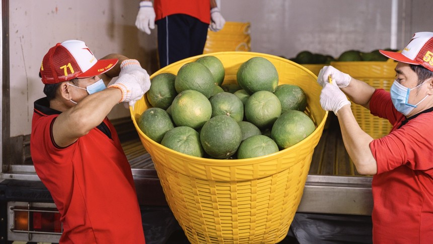 Doanh nghiệp Việt cần chủ động thích ứng quy định mới về xuất khẩu vào thị trường Trung Quốc.