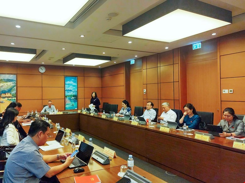 Bộ trưởng Bộ Y tế Đào Hồng Lan phát biểu tại tổ. 