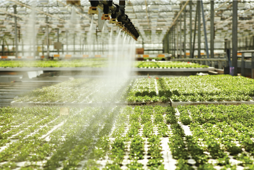 10 tháng năm 2025 ghi nhận 1.534 doanh nghiệp nông nghiệp, lâm nghiệp và thuỷ sản thành lập mới 