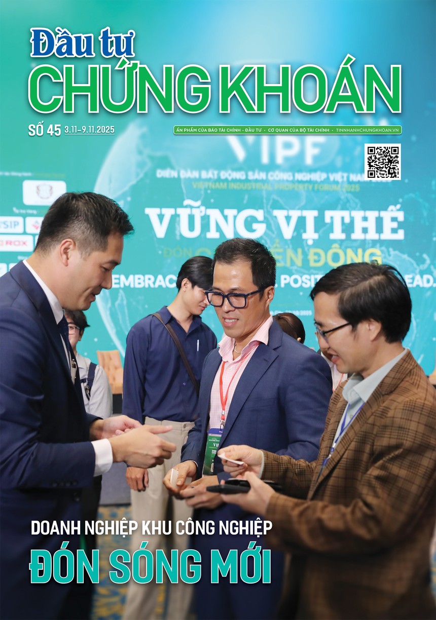 Báo Đầu tư Chứng khoán số 45
