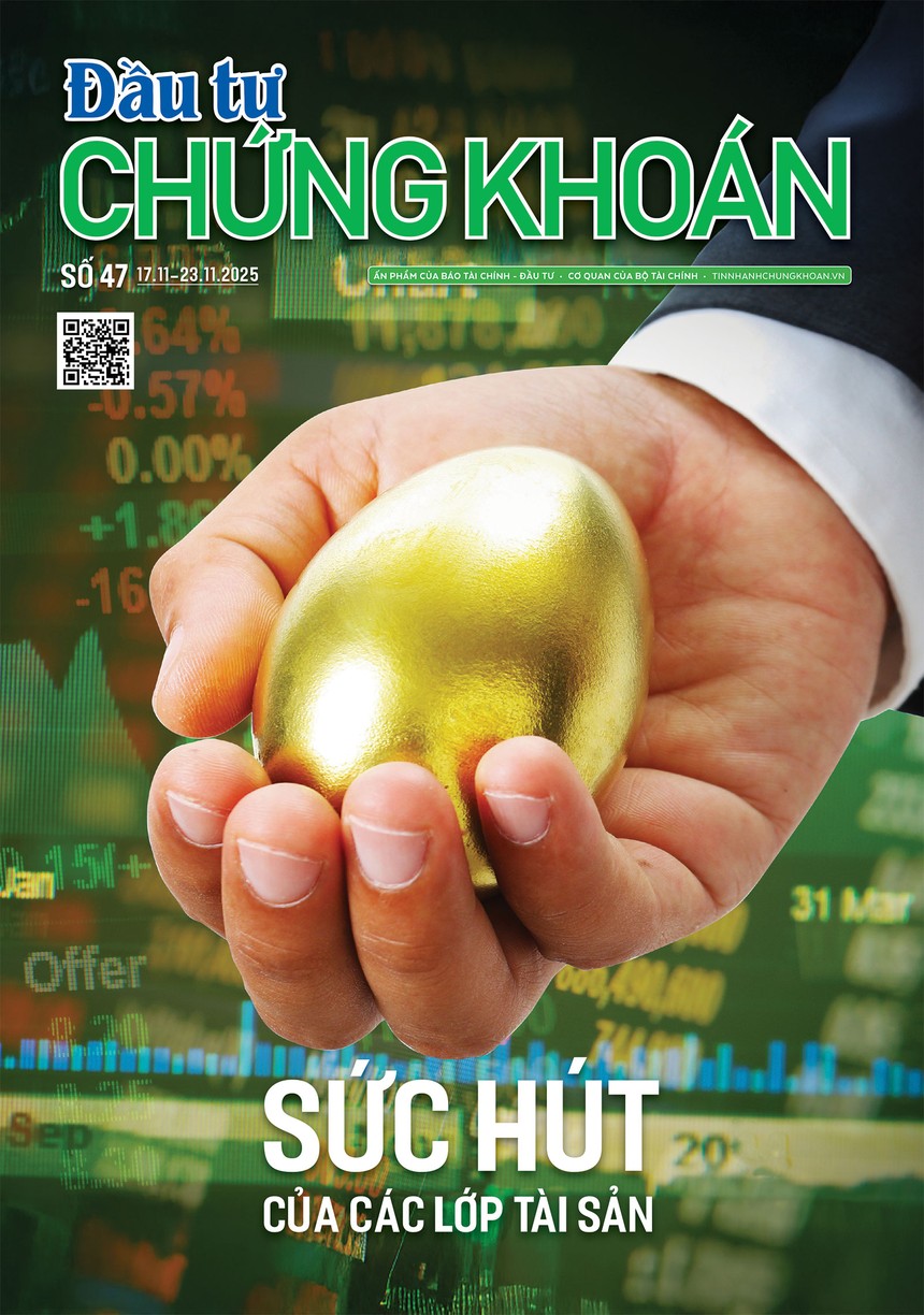 Báo Đầu tư Chứng khoán số 47