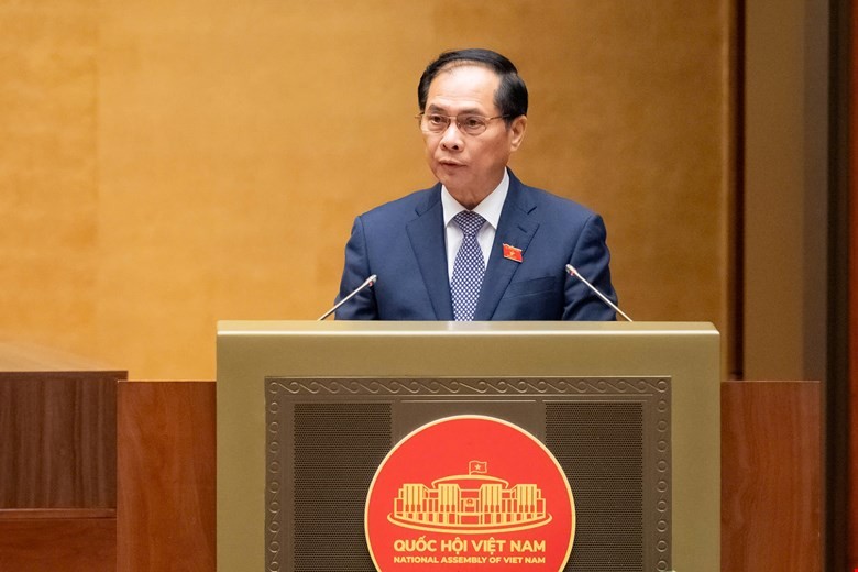 Phó Thủ tướng Bùi Thanh Sơn trình bày tờ trình của Chính phủ. 