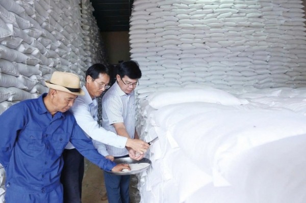 Lãnh đạo Chi cục Dự trữ Nhà nước khu vực II trực tiếp kiểm tra chất lượng gạo nhập kho dự trữ quốc gia năm 2025. Ảnh: Đức Minh