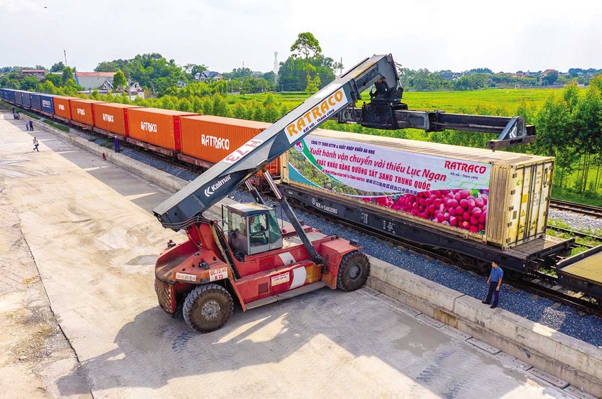 Một đoàn tàu liên vận quốc tế chở nông sản xuất khẩu của Tổng công ty Đường sắt Việt Nam 