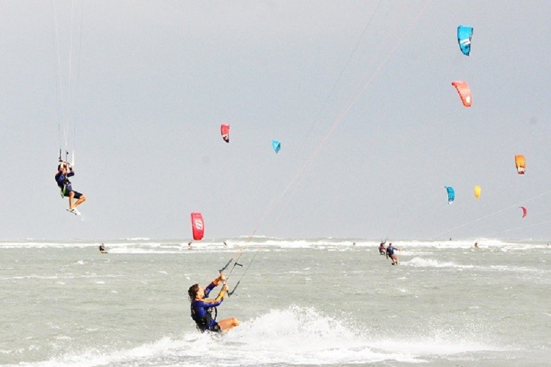 Ảnh minh họa. Ảnh: T.M.N 