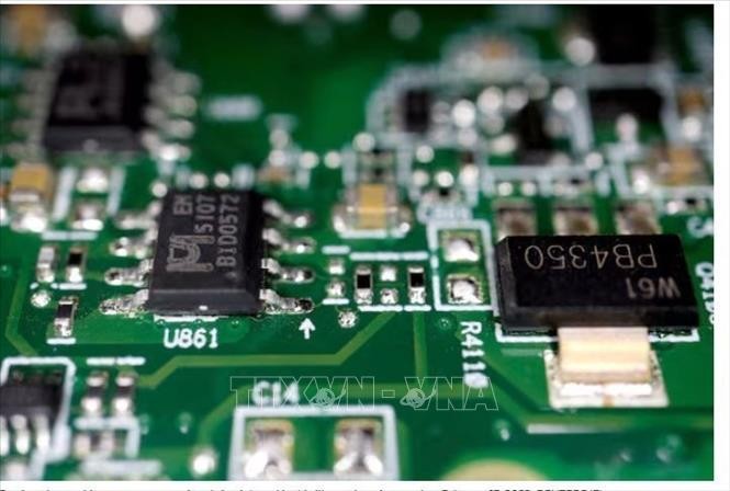 Chip bán dẫn trên một bảng mạch điện. Ảnh minh họa: REUTERS/TTXVN