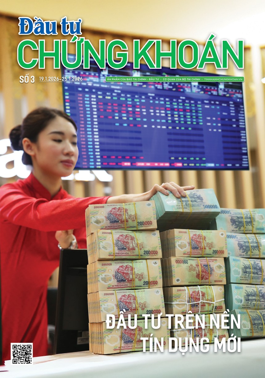 Báo Đầu tư Chứng khoán số 3