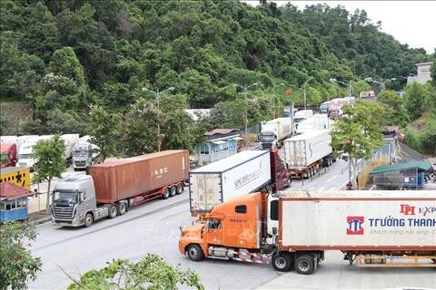 Hoạt động xuất nhập khẩu hàng hóa qua các cửa khẩu tỉnh Lạng Sơn ngày 31/1 và 1/2 diễn ra ổn định, thông suốt. 