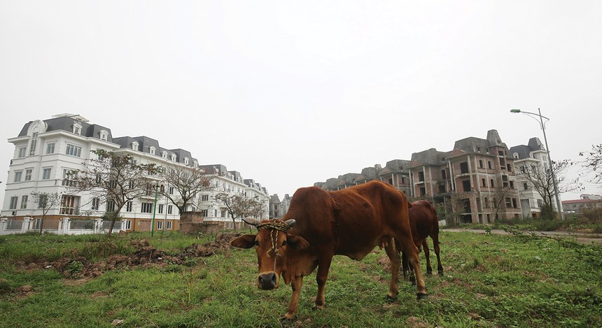 Việc xử lý nợ xấu giúp giải phóng nguồn lực đang bị kẹt lại trong các dự án đình trệ, tài sản dở dang