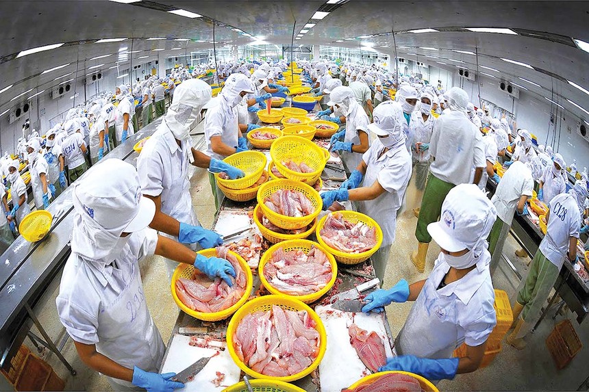 Thủy sản là một trong những ngành có kim ngạch xuất khẩu lớn sang Mỹ, các doanh nghiệp đã quen với áp lực thuế từ thị trường này 