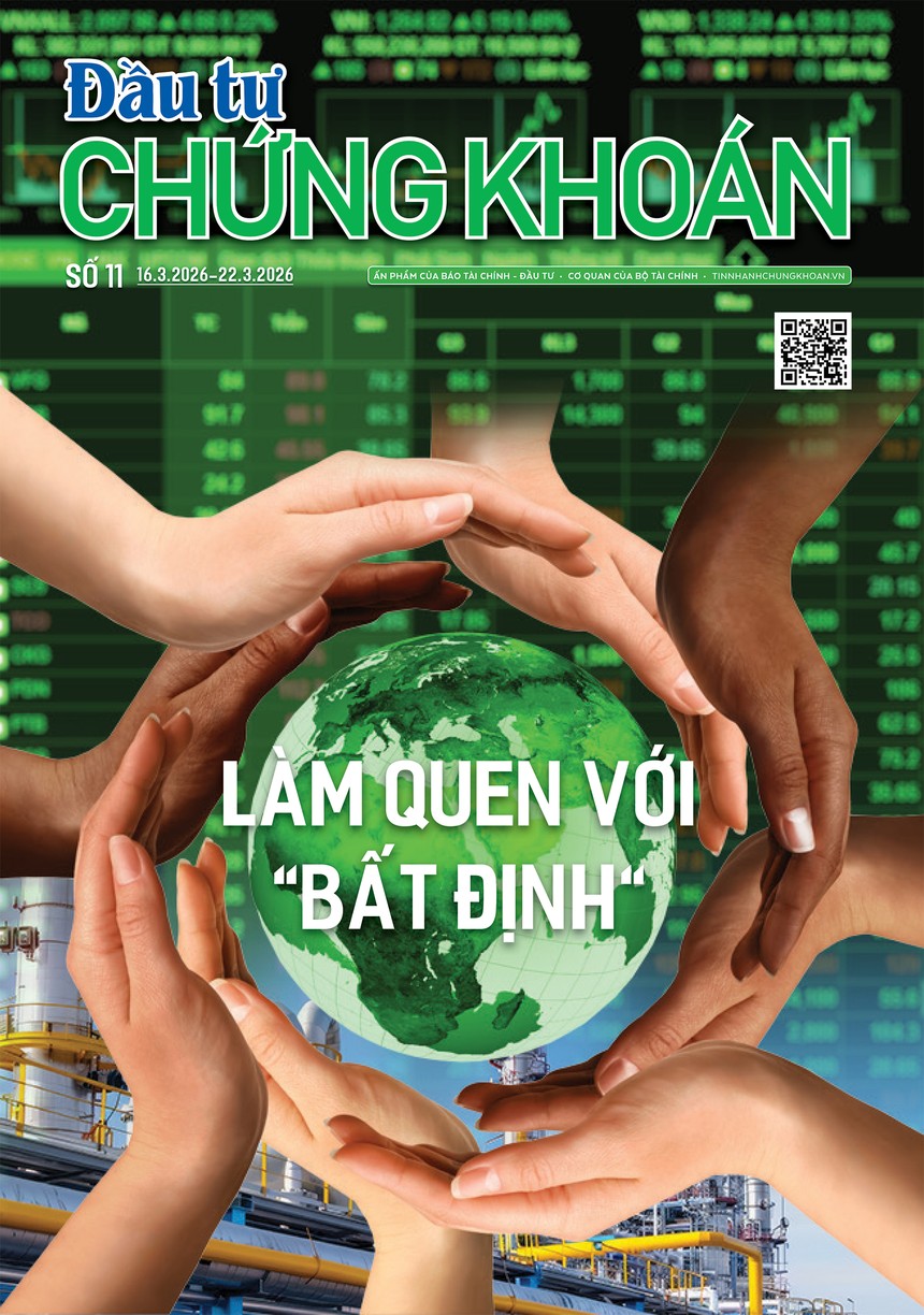  Báo Đầu tư Chứng khoán số 11