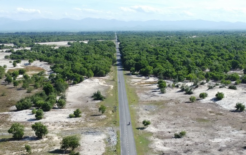 Quốc lộ 15D đoạn từ Cảng Mỹ Thuỷ đến điểm giao Quốc lộ 1A.