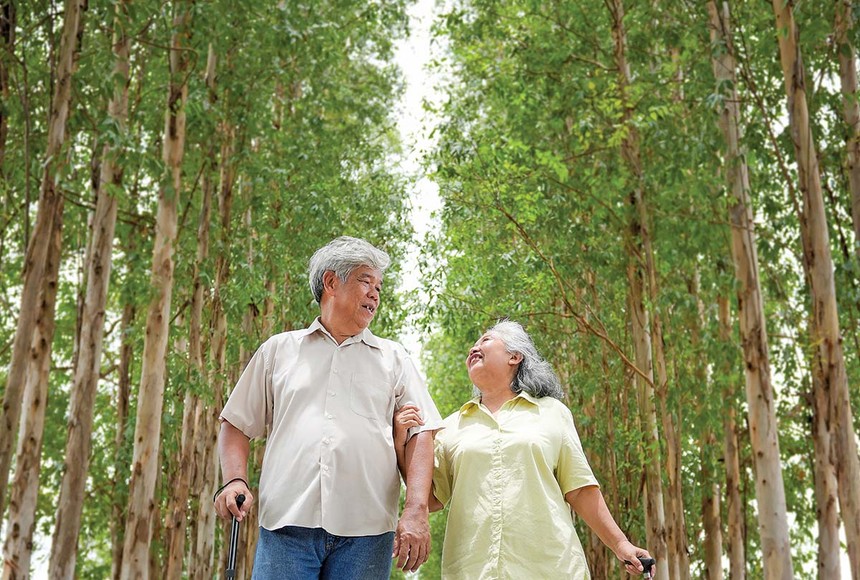 Việt Nam có đầy đủ thế mạnh để trở thành “thiên đường” nghỉ dưỡng của dòng khách hưu trí (Ảnh: P.V)