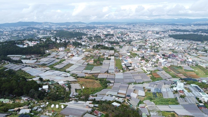 Lâm Đồng có nhiều dự án nông nghiệp công nghệ cao. Ảnh: Linh Đan