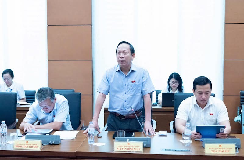 Đại biểu Nguyễn Đình Xuân phát biểu tại tổ. 