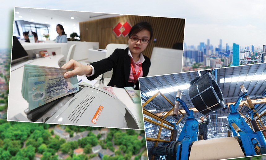 Danh mục đầu tư của Digiworld tập trung vào cổ phiếu TCB, HPG và VPB 