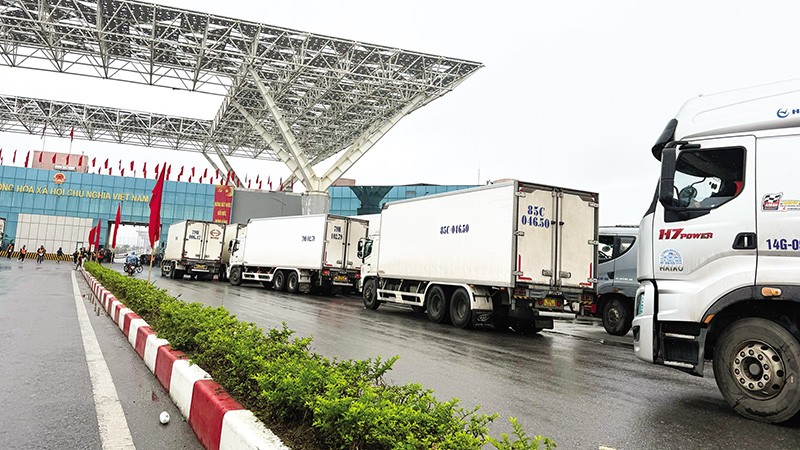 Ngày càng nhiều hàng hóa chất lượng cao của Việt Nam được xuất khẩu sang thị trường Trung Quốc 