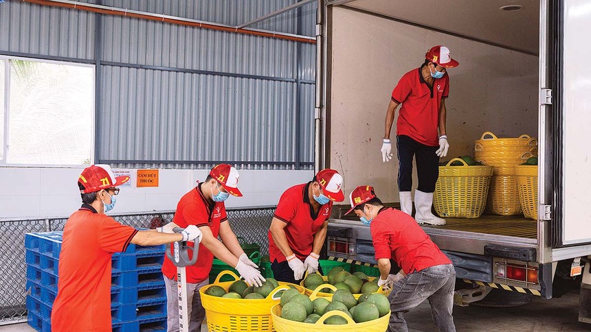 Khi áp lực lan rộng, doanh nghiệp cần giải pháp đồng bộ về chính sách và thị trường (Ảnh: P.V)