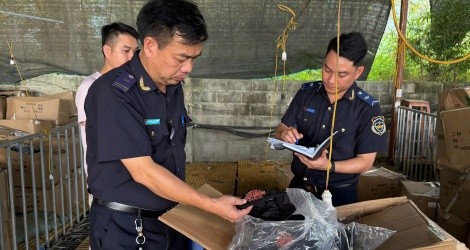 Công chức hải quan kiểm đếm hàng hoá vi phạm.