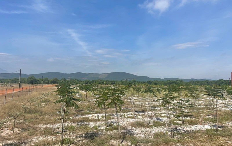 Khu vực thực hiện Dự án Đầu tư xây dựng kết cấu hạ tầng Khu công nghiệp Tam Anh 1 với tổng vốn đầu tư 1.500 tỷ đồng.