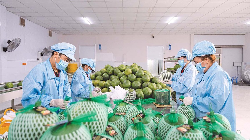 Các danh mục cắt giảm lần này là bước đi đáng ghi nhận vì đã chạm đến nhiều vướng mắc, mà doanh nghiệp thường gặp