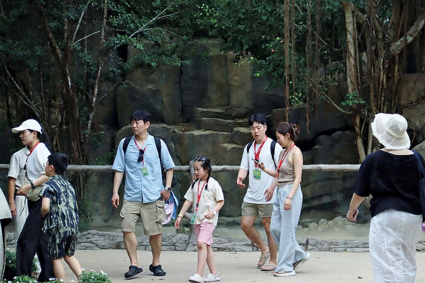 Ảnh: Du khách nước ngoài tham quan Safari Phú Quốc Ảnh: Linh Nguyễn 