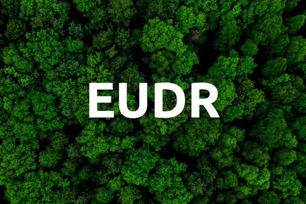 EUDR tác động đến việc xuất khẩu nông sản Việt Nam vào thị trường EU, đặc biệt là cà phê, cao su và gỗ.
