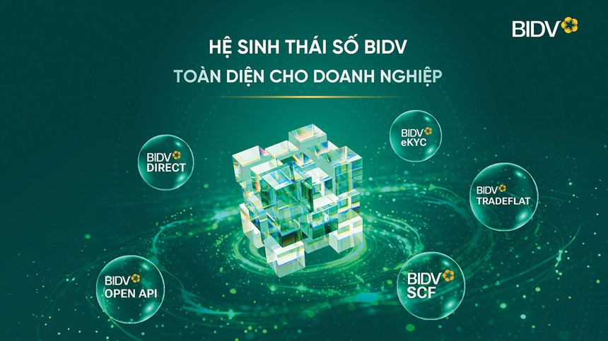 BIDV: Kiến tạo hạ tầng tăng trưởng cho doanh nghiệp