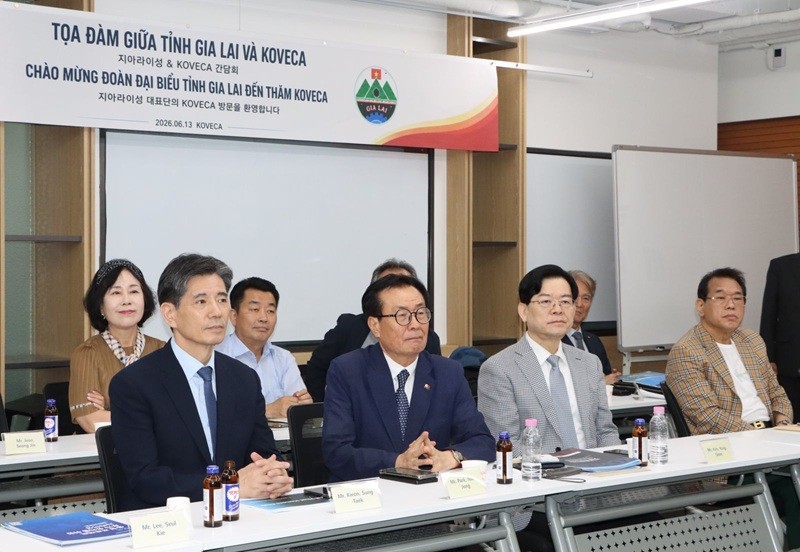 Đại diện các doanh nghiệp thuộc Hiệp hội Kinh tế - Văn hóa Hàn Việt tại buổi làm việc với tỉnh Gia Lai. Ảnh: Trang Lê.